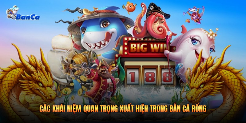 Các khái niệm quan trọng xuất hiện trong bắn cá rồng Các khái niệm quan trọng xuất hiện trong bắn cá rồng