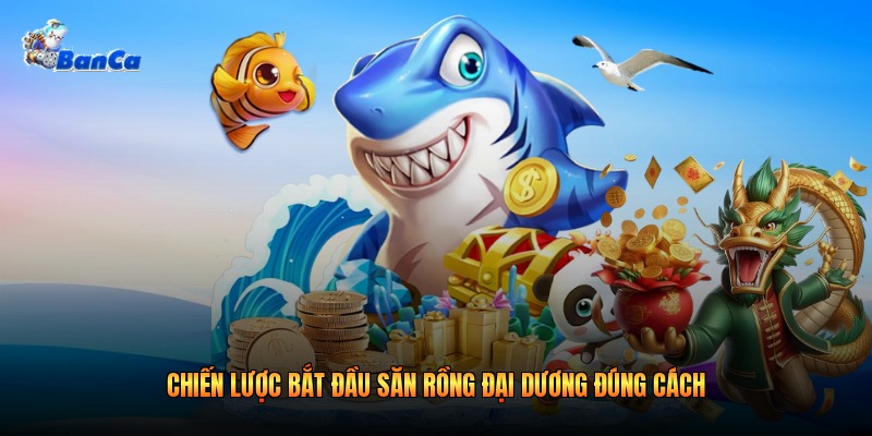 Chiến lược bắt đầu săn rồng đại dương đúng cách 