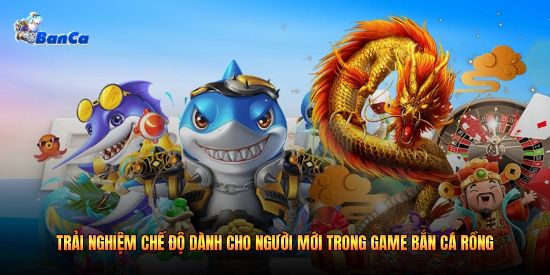 Trải nghiệm chế độ dành cho người mới trong game bắn cá rồng Trải nghiệm chế độ dành cho người mới trong game bắn cá rồng
